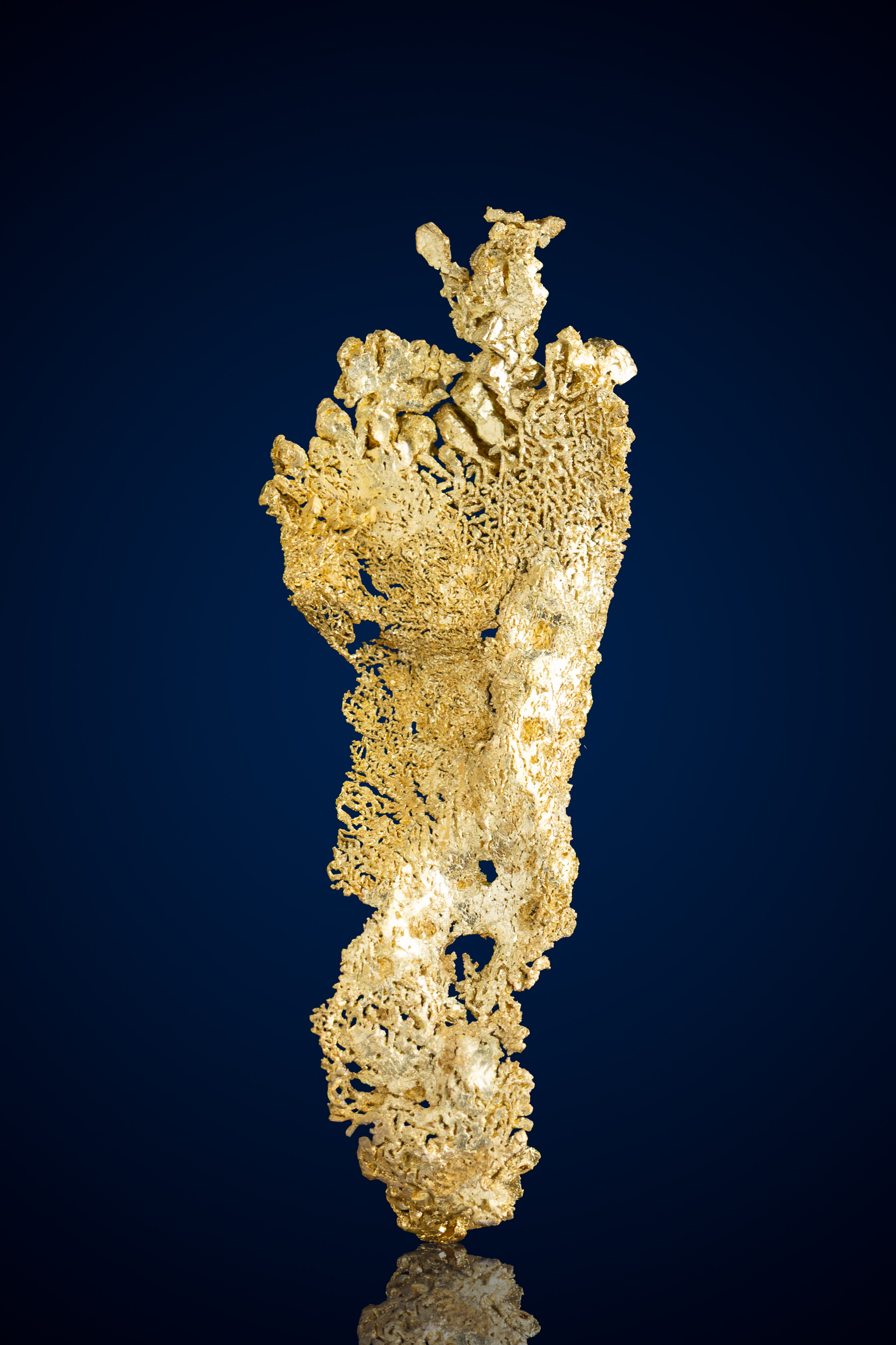 (image for) Lacy, Elongated Natural Gold Specimen - Round Mountain, NV - 2.32 grams